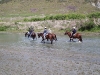 Horseback Ride, February